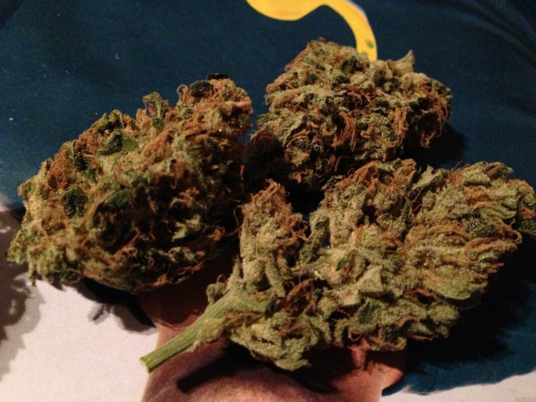 Top 9 Strongest Weed Strains